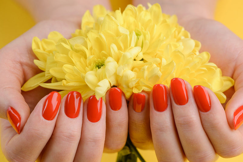 Why Natural Based Nail Enamels Are Best for Your Nails *Hype Nail Polish
